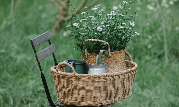 ENTRETIEN DE FOSSE SEPTIQUE À GATINEAU — PRÉPAREZ VOTRE FOSSE SEPTIQUE POUR L’AUTOMNE ET L’HIVER