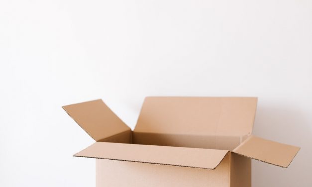 LES AVANTAGES DE L’UTILISATION DE MINI ENTREPÔT À LOUER POUR LES PROPRIÉTAIRES ET LES ENTREPRENEURS