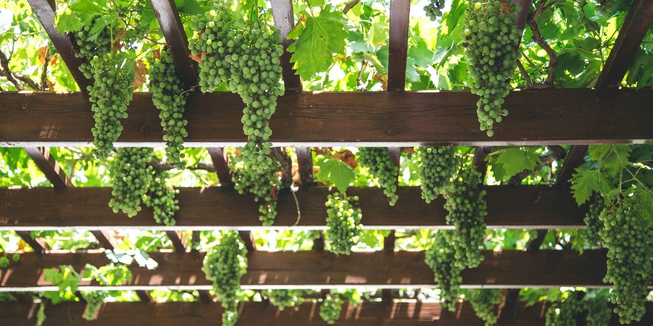 LES AVANTAGES D’AJOUTER UNE PERGOLA À VOTRE ESPACE EXTÉRIEUR DE VOTRE RÉSIDENCE DE GATINEAU