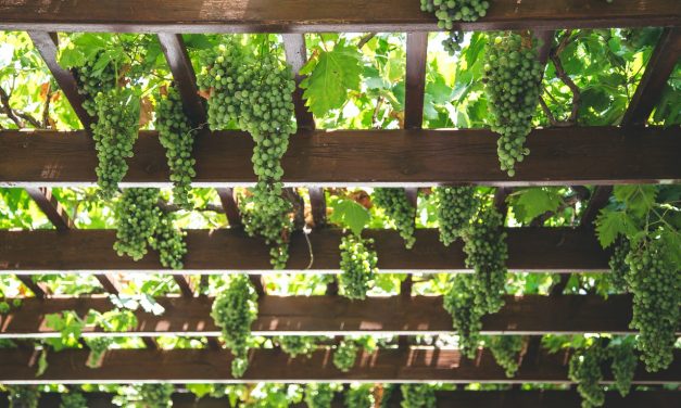 LES AVANTAGES D’AJOUTER UNE PERGOLA À VOTRE ESPACE EXTÉRIEUR DE VOTRE RÉSIDENCE DE GATINEAU
