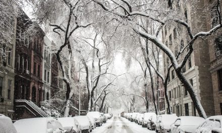 3 RAISONS D’EMBAUCHER DES PROFESSIONNELS DU DÉNEIGEMENT