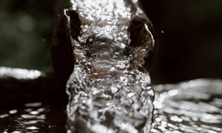CHOISIR LE BON EXPERT POUR RÉPARER VOTRE INFILTRATION D’EAU