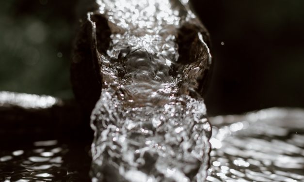 CHOISIR LE BON EXPERT POUR RÉPARER VOTRE INFILTRATION D’EAU